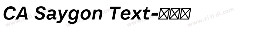 CA Saygon Text字体转换